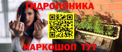 дживик Будённовск