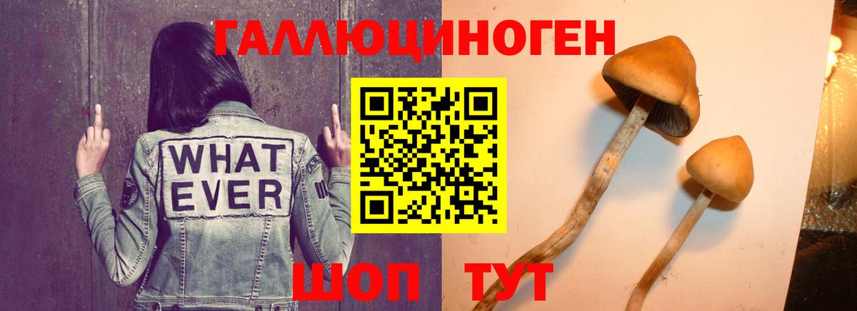 Псилоцибиновые грибы MAGIC MUSHROOMS  Вход с VPN  Красноперекопск 